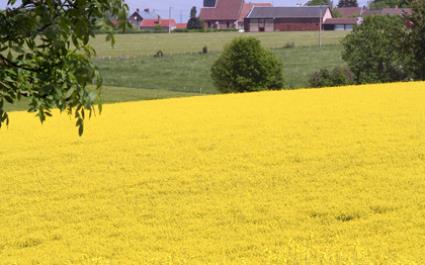 beaumontlesnonains