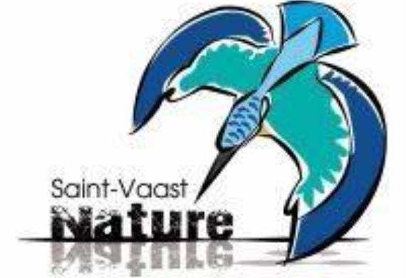 logo saint vaast nature