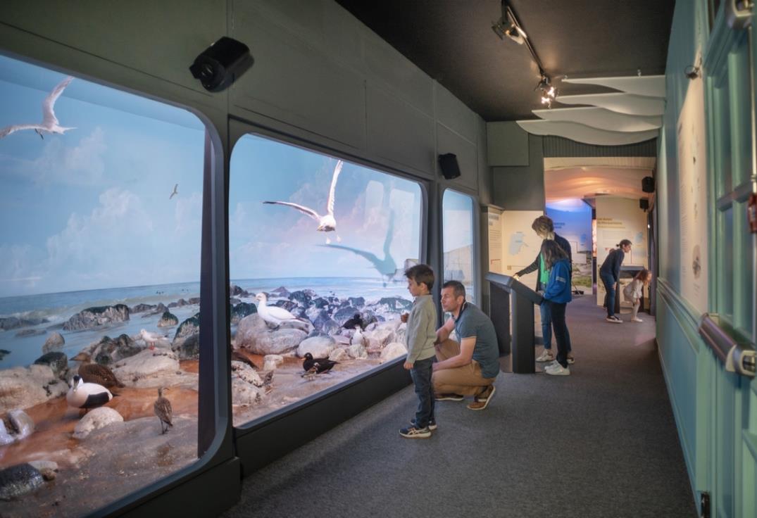 Maison de la Baie de Somme - Diorama interactif