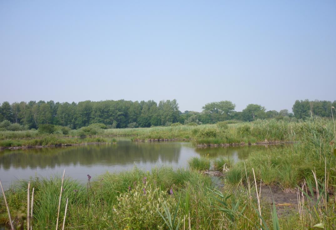 marais-belloy