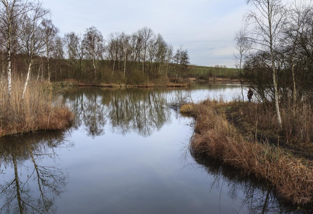 marais de genonville_somme_hdf