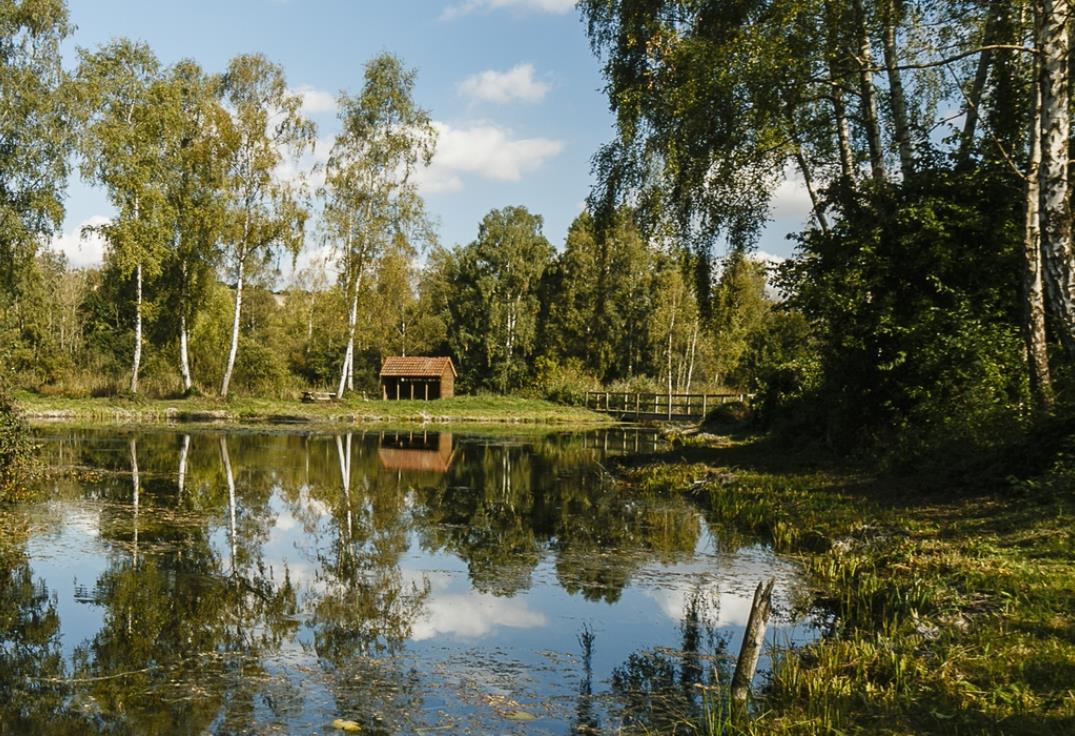 marais de genonville_somme_hdf6 