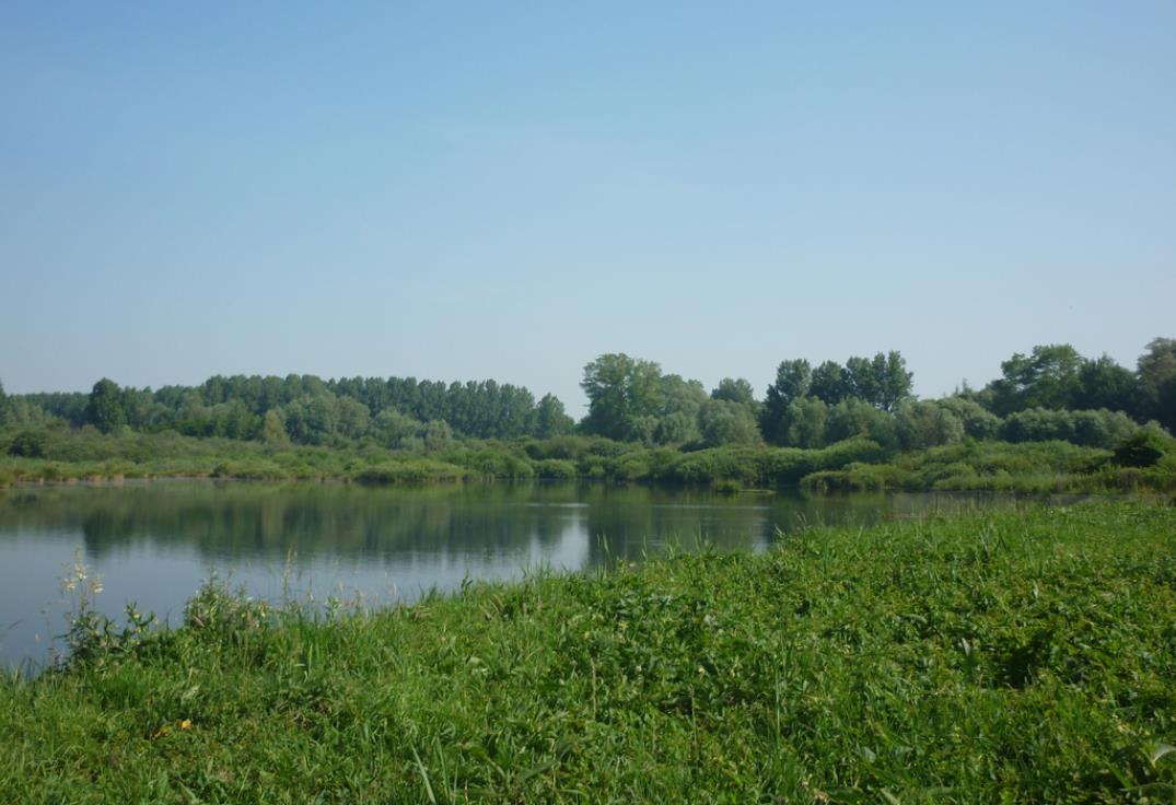 marais-picquigny-2