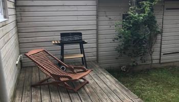 narnia_williams_abbeville (7)