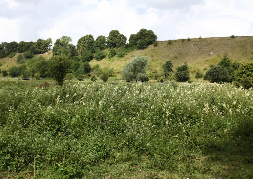 Randonnée Le passage aux loups