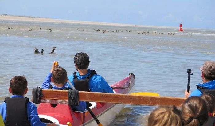Pirogue Ma Baie de Somme