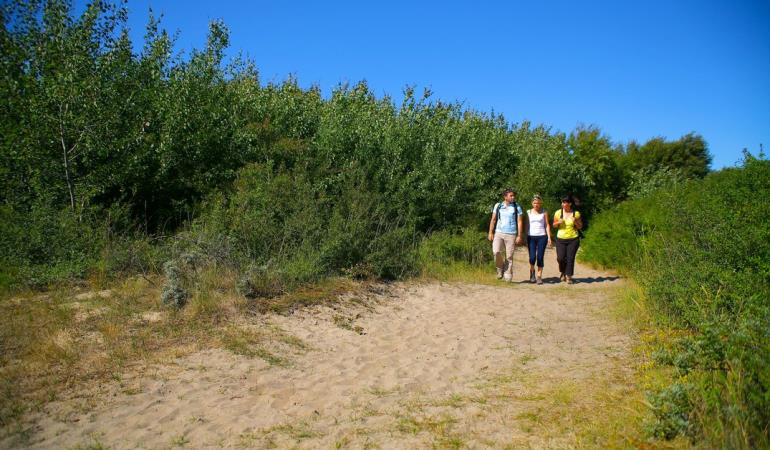 Fort-Mahon-Quend_Dune-du-Royon_Somme