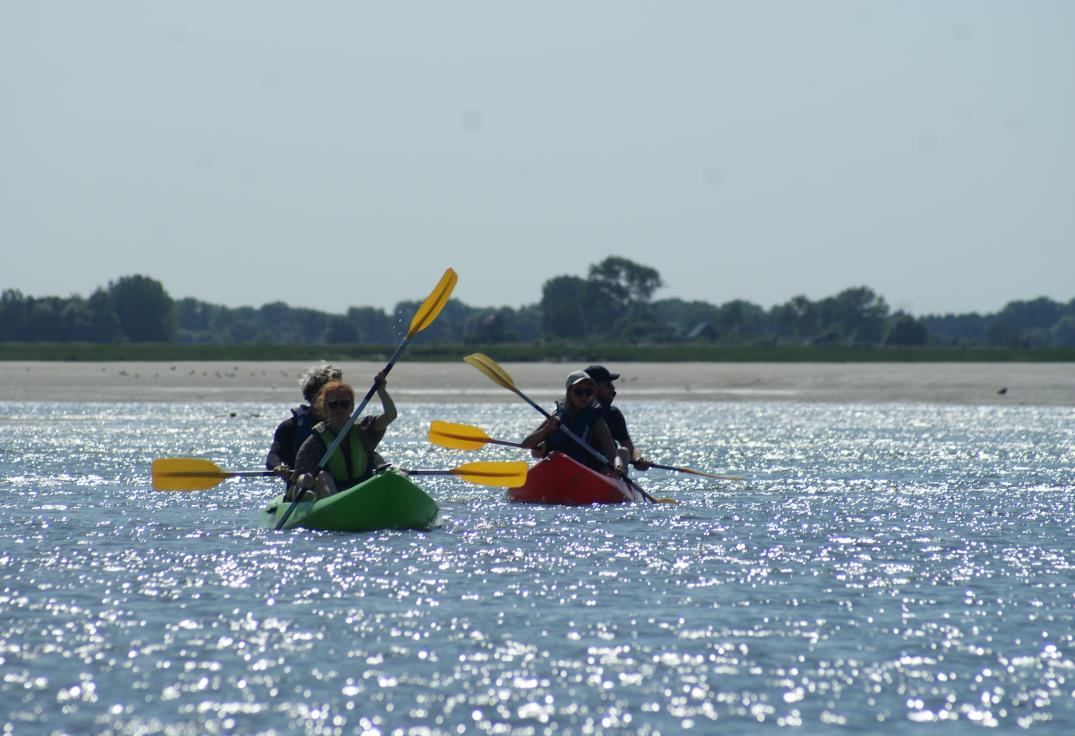 sortie kayak de mer baie de somme