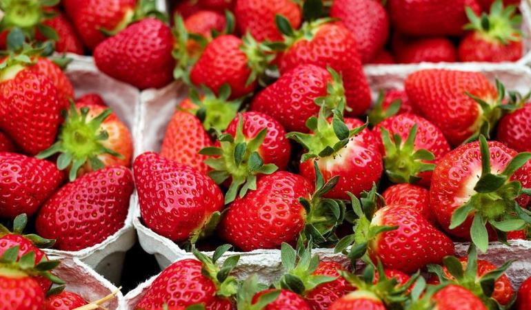 strawberries-1396330_960_720