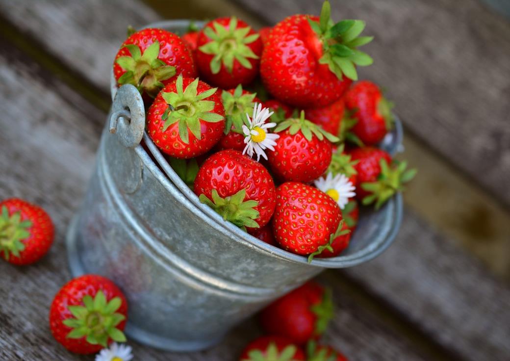 strawberries-g5a50db919_1280