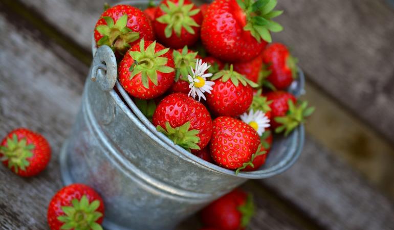 strawberries-g5a50db919_1280