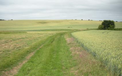 Les_hauts_de_magny