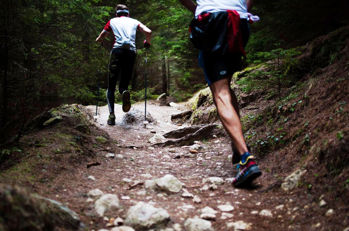 trail - @OTNS