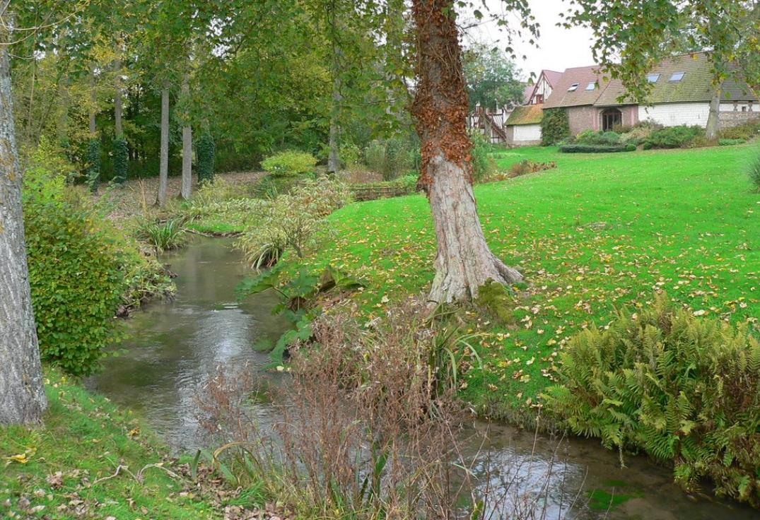 vallée_la-vimeuse-rivière