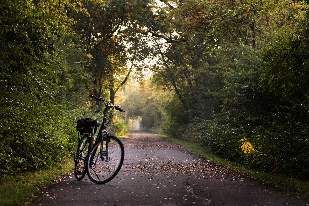 vélo - @OTNS